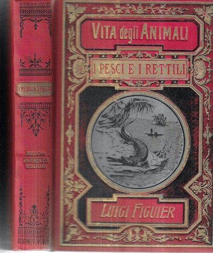 Rettili pesci animali - e,