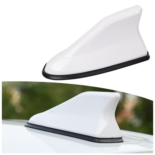Antenna pinna squalo - pinna,