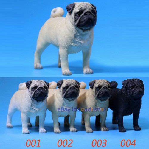 Carlino cane pet - mr.z,
