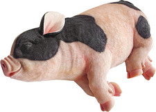 Maiale Addormentato Statua