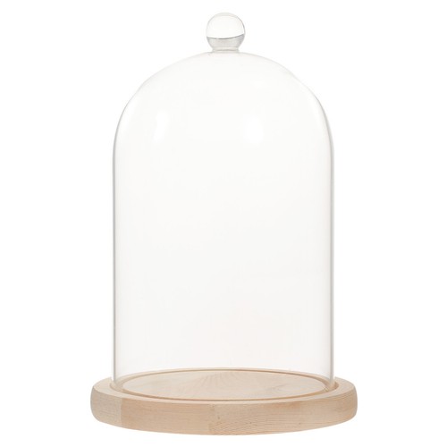 Fiore secco cloche campana - fiore,
