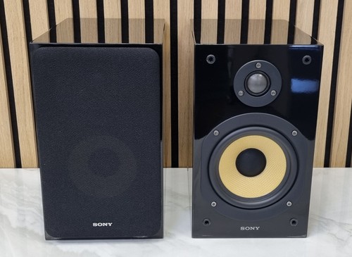 Sony cg1 altoparlanti - ss-cg1,