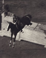1936 OLYMPICS Original Equestrian Horse Lt. Hasse By LENI RIEFENSTAHL Photo Art