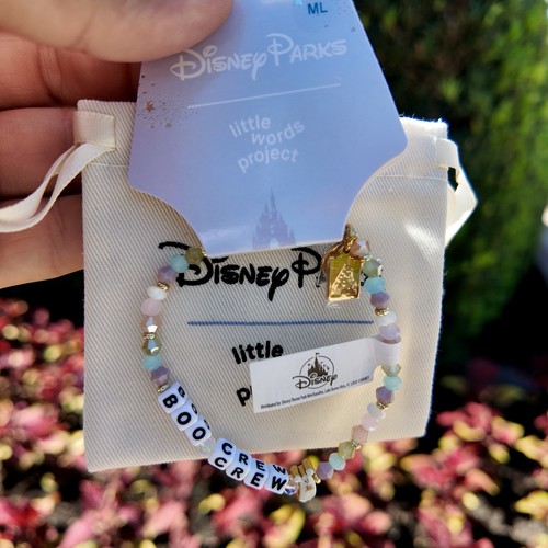 Disney parks 2025 - little, words