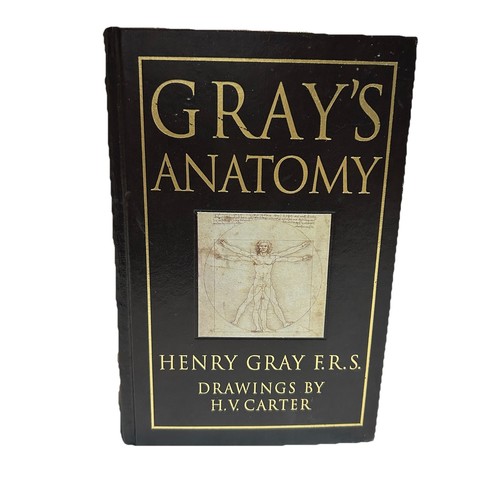 Gray anatomy henry - anatomy,