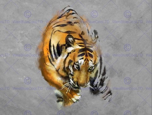 86804 disegno grande gatto - 86804,