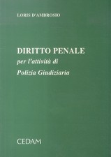 Diritto penale per l'attività