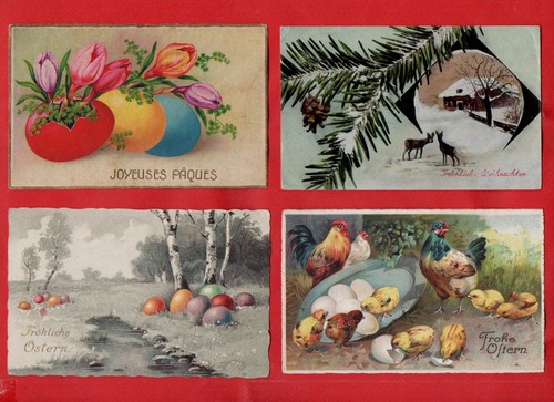 Buona pasqua estere lotto di - buona,