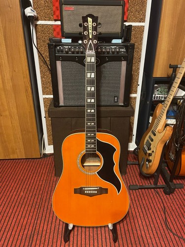 Eko guitars ranger eq - guitars, vi
