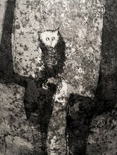 Nag Arnoldi - Gufo - Rara Incisione - Solo 90 esemplari, con certificato. 