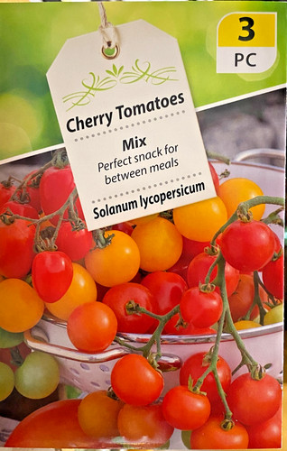 Semi pomodori cherry - semi,