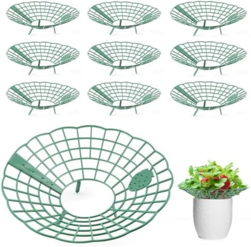 Supporto per fragole - ,, 10