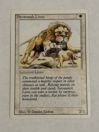 Savannah lions revised - lions,