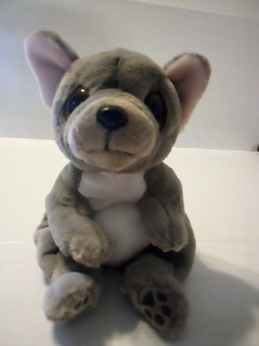 Beanie wilfred bulldog - wilfred,