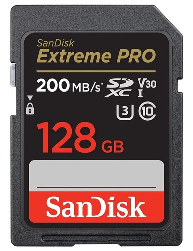 Scheda memoria sdxc sandisk - scheda,