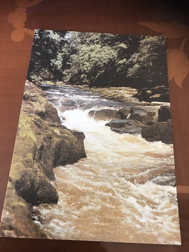The strid bolton abbey - the,