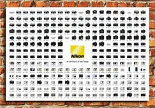 368191 NIKON CHART NIKONter