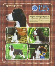 Sierra Leone 2009 Springer Spaniel Cani Animali Animali Kennel Club m/s MNH