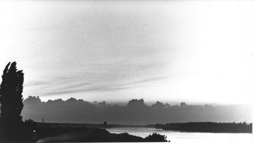 Foto autore po verso - foto, "il