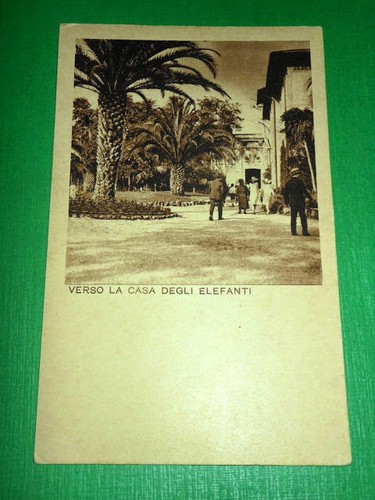 Cartolina giardino zoologico - giardino,