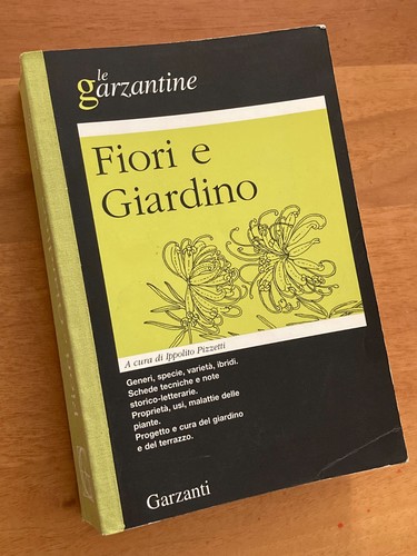 Libro dizionario enciclopedia - dizionario,