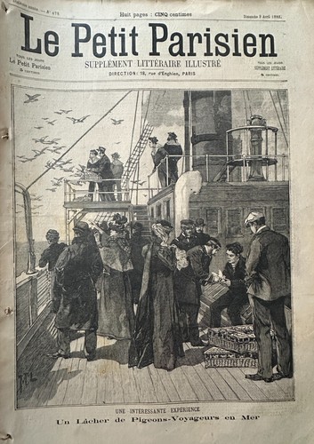 Piccolo parigino 1898 - parigino, n°