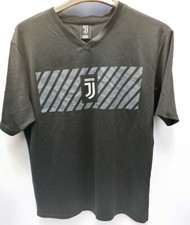 Juventus FB, Piemonte Calcio