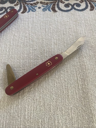 Coltello innesto con - da,