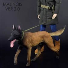 MALINOIS cane 2.0 modello animale resina simulazione 1:6 statua figura ornamento regalo