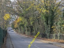 Photo 6x4 Bush Hill, N21