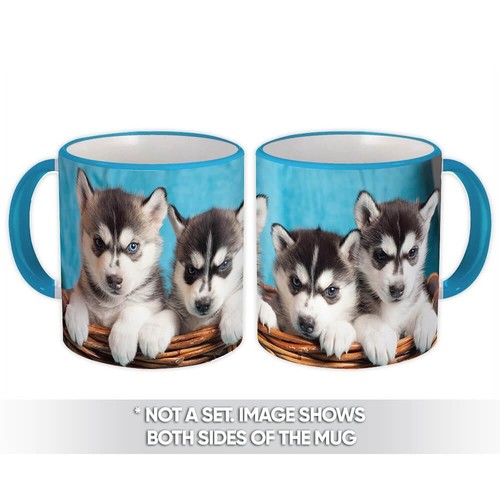 Tazza regalo cesto siberiano - tazza,