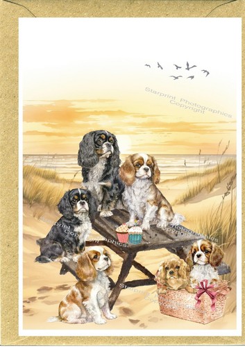 Biglietto auguri cavalier king - biglietto,