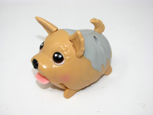 Cuccioli paffuti amici - cuccioli, e