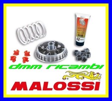 Variatore MALOSSI Multivar