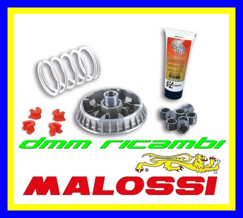 Variatore malossi multivar - malossi,