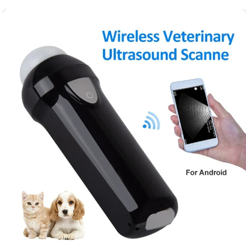 Ultrasuoni veterinari - ultrasuoni,