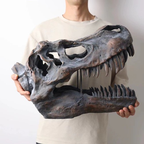 Statua dinosauro tyrannosaurus - statua,