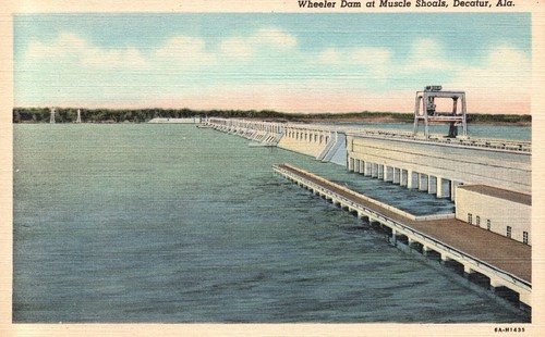 Alabama wheeler dam - alabama,, muscle