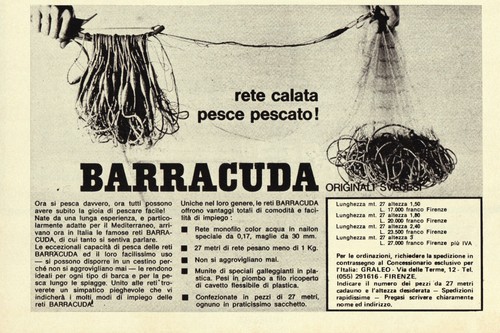Barracuda rete calata - , pesce