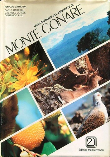 Introduzione all ambiente - all'ambiente, di
