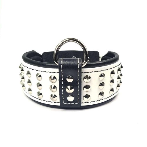 Collare per cani - con, borchie