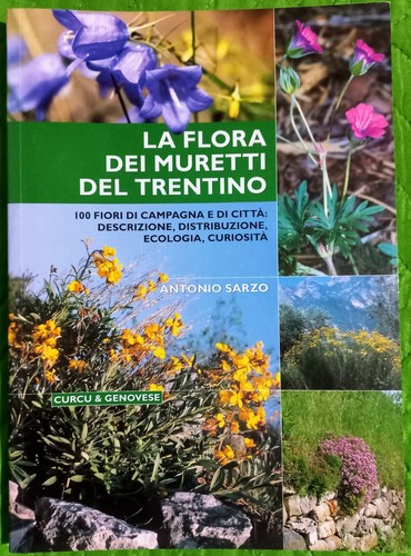 Flora dei muretti del - la,