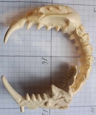 LEGGENDA DI ZARGON LEGEND ZAGOR BOARD GAME PARKER FIGURE  SPARE PARTS SKULL 2