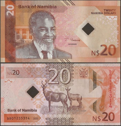Namibia p21 b221 dollari - b221, 20