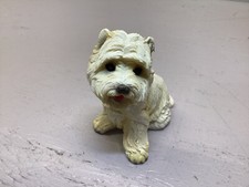White West Highland Terrier