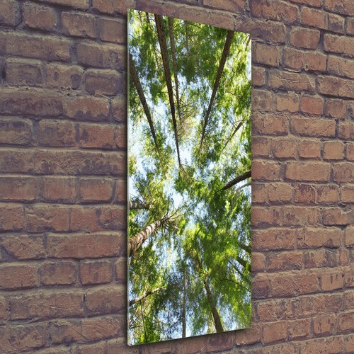 Tulup acrylic glass - tulup, wall