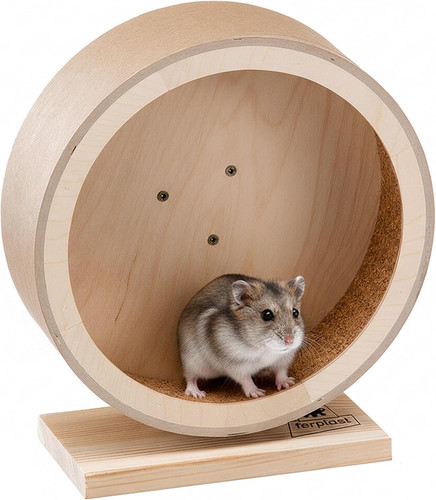 Ruota criceto accessorio - criceto,