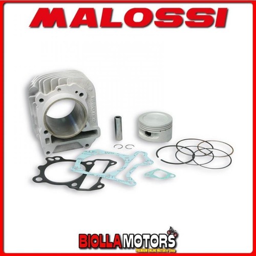 3111393 gruppo termico malossi - 3111393,