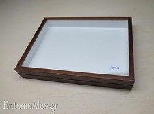scatola entomologica legno MARRONE 30X40 plastazote entomologia cassetta insetti