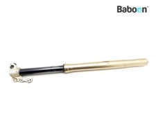 Gamba forcella anteriore